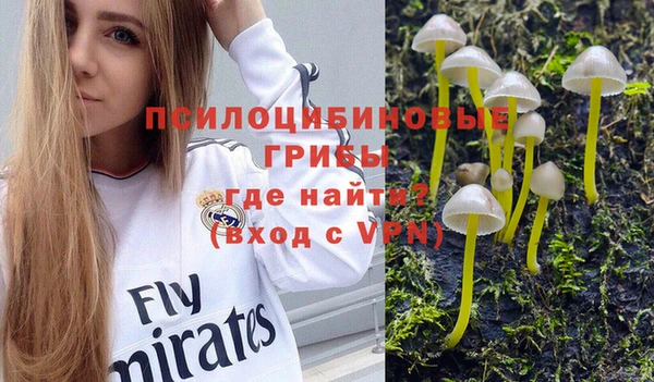 МДМА Медвежьегорск