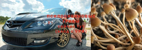 МДМА Медвежьегорск