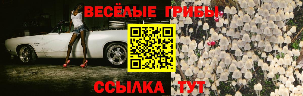 Галлюциногенные грибы Psilocybe  Нягань 