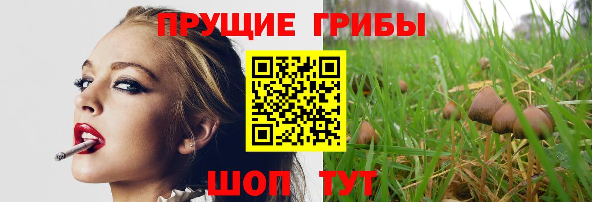 Псилоцибиновые грибы мицелий  Вход с VPN  Нягань  Псилоцибиновые грибы GOLDEN TEACHER 